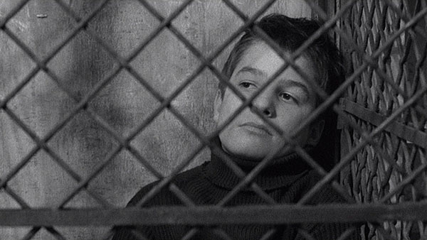 1. The 400 Blows (1959).jpg