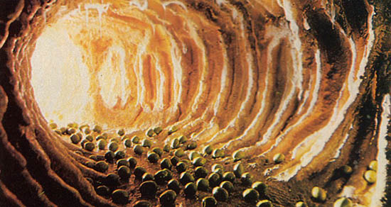 Alien-Contamination.jpg