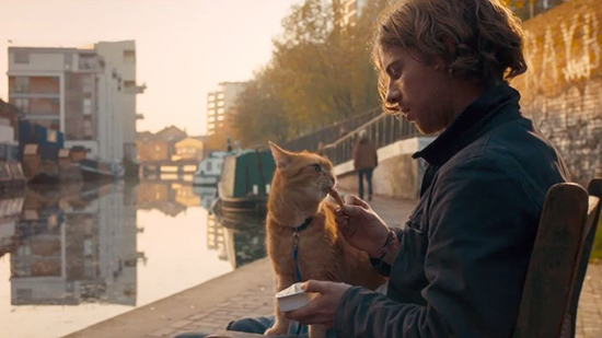 a-streetcat-named-bob-movie.jpg