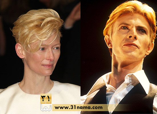 davidb-tilda.jpg